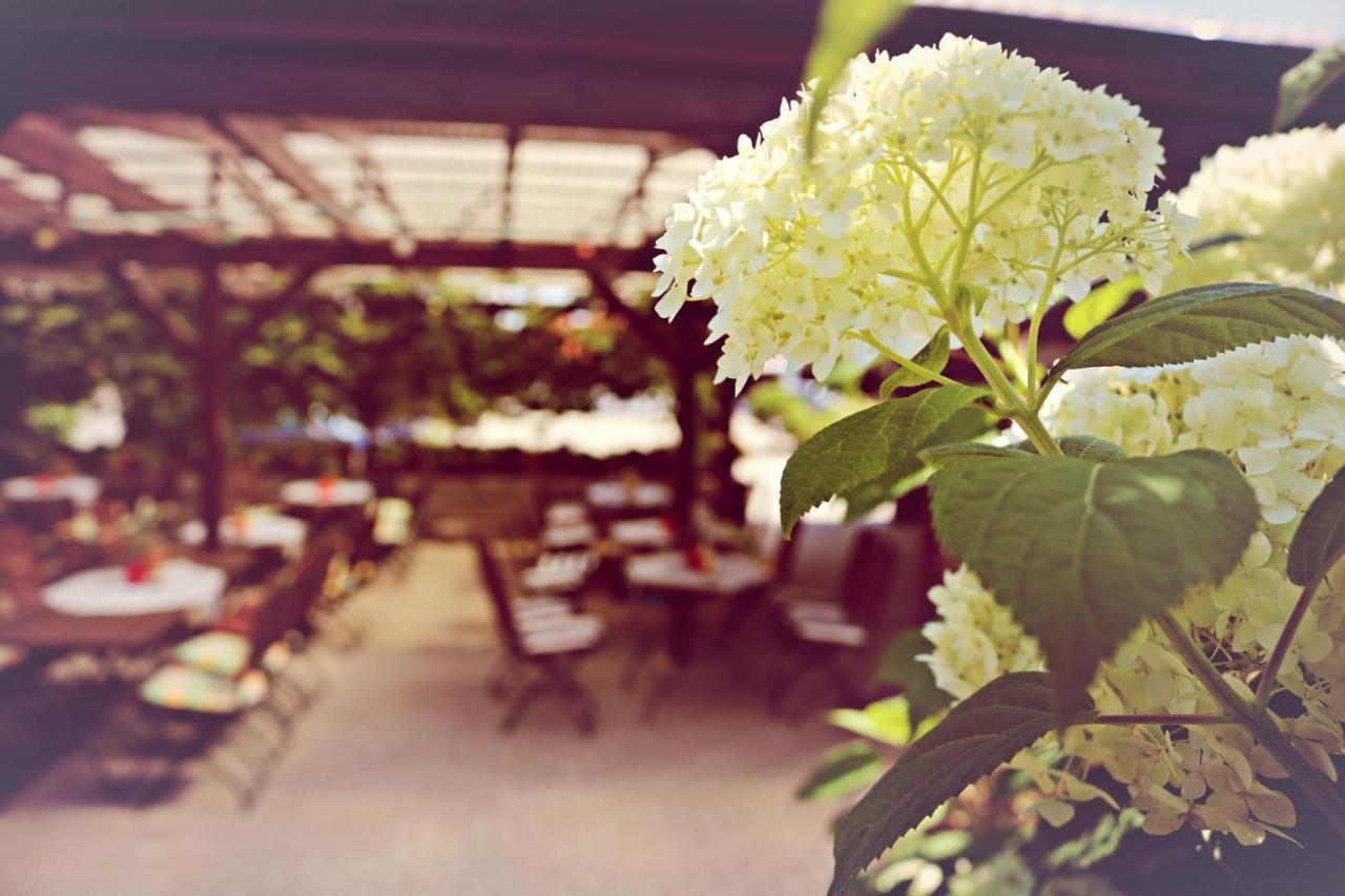 Landhotel Krausnick Εξωτερικό φωτογραφία